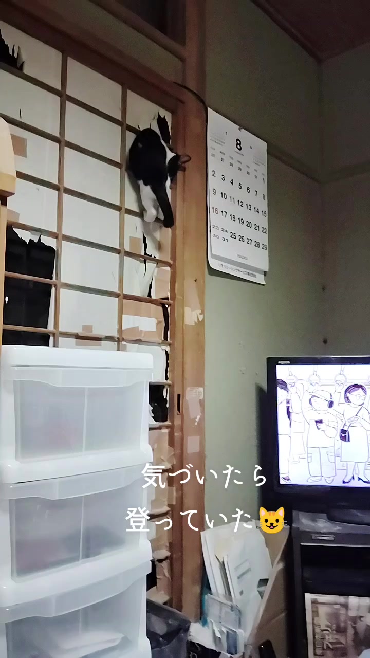 @遊喜