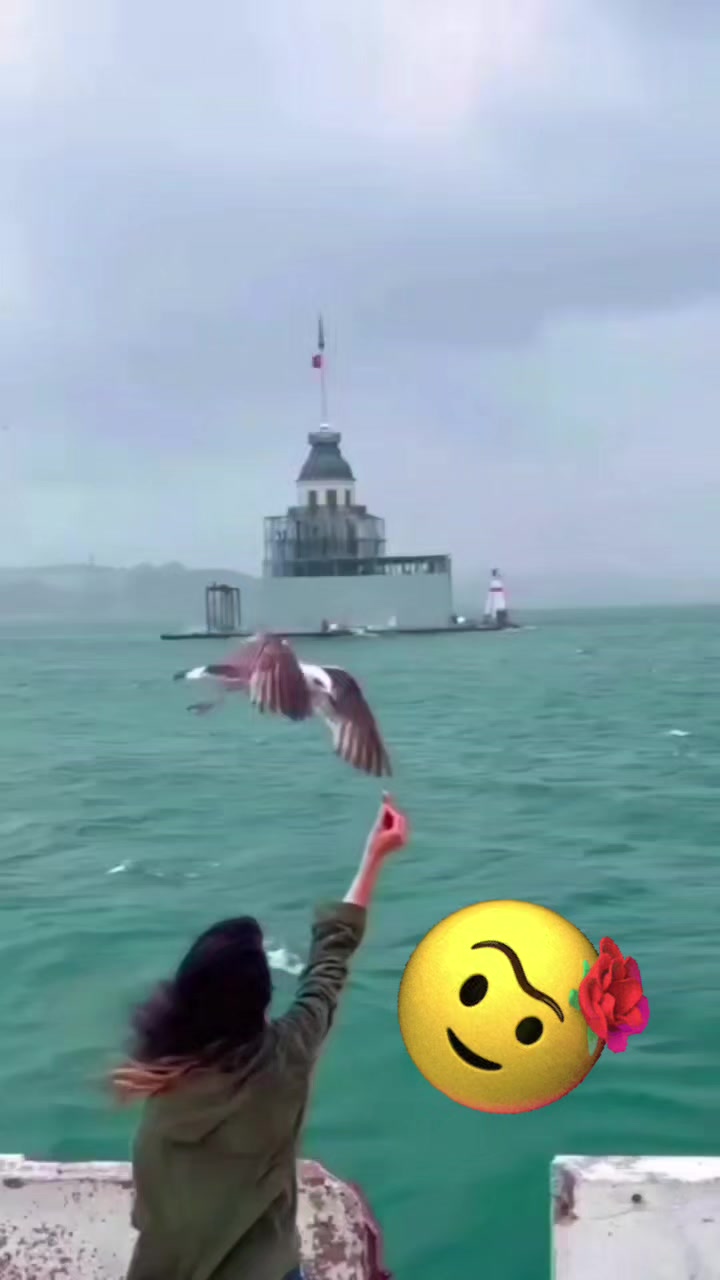 @🫰💫🕊️𝐟s🕊️💫🫰