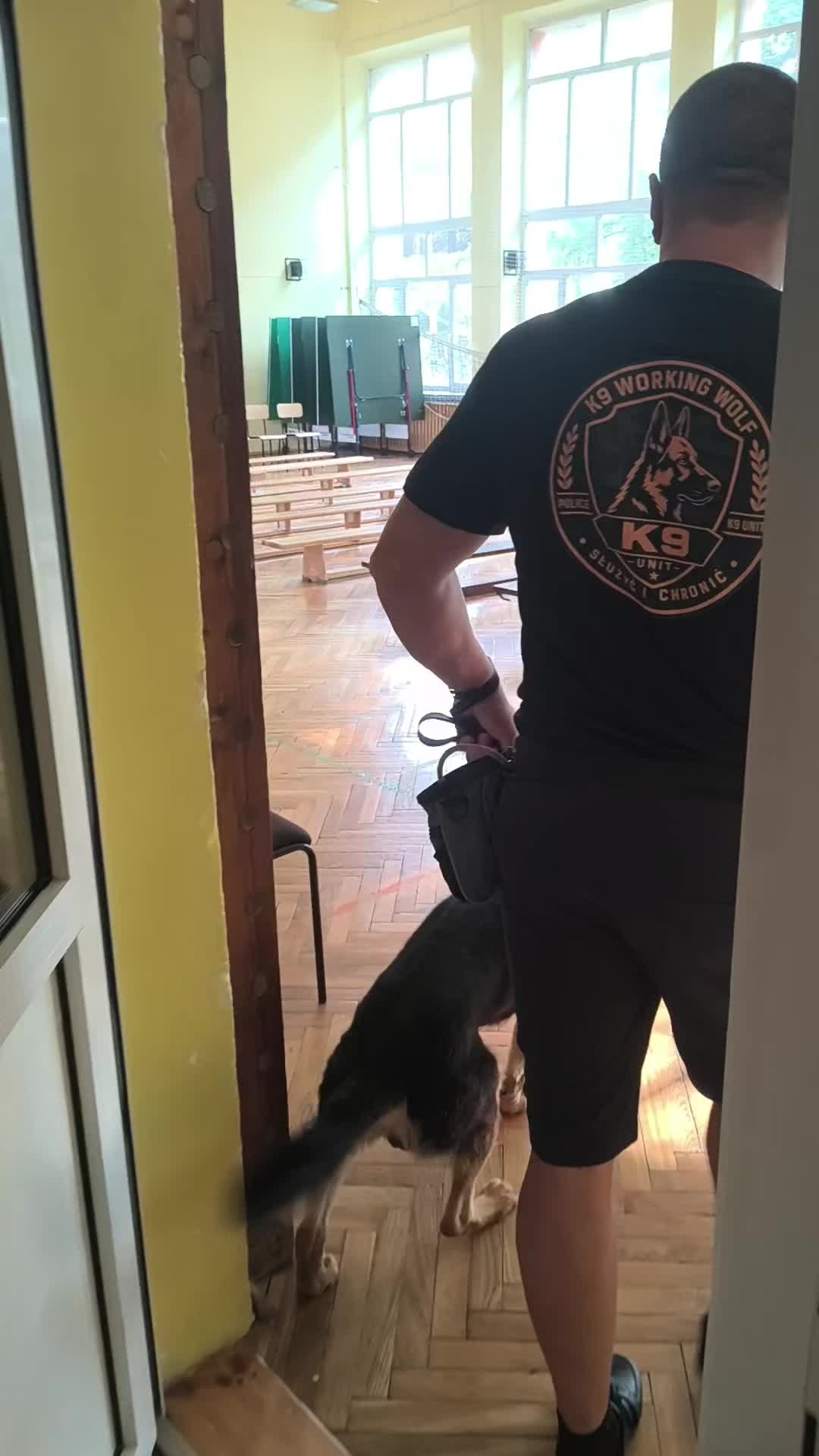 @K9 Working Wolf