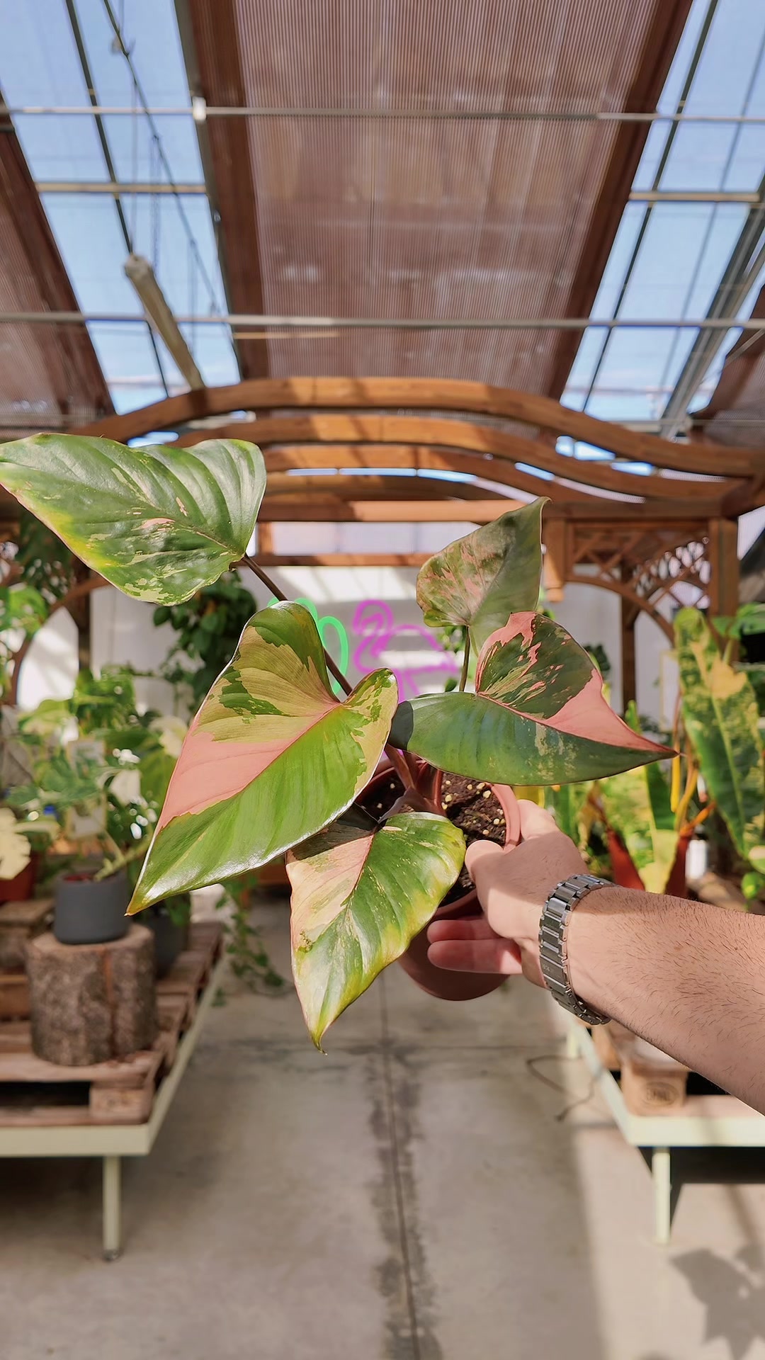 @Garden Center Brioli