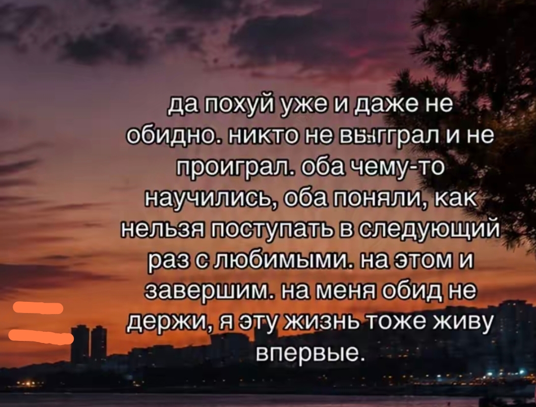 @lipsimam