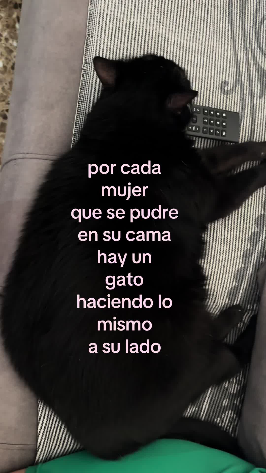@BlackCatsMatter