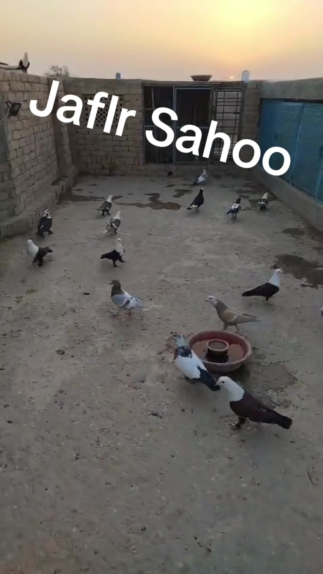 @J@£!R S@H00 111🦅