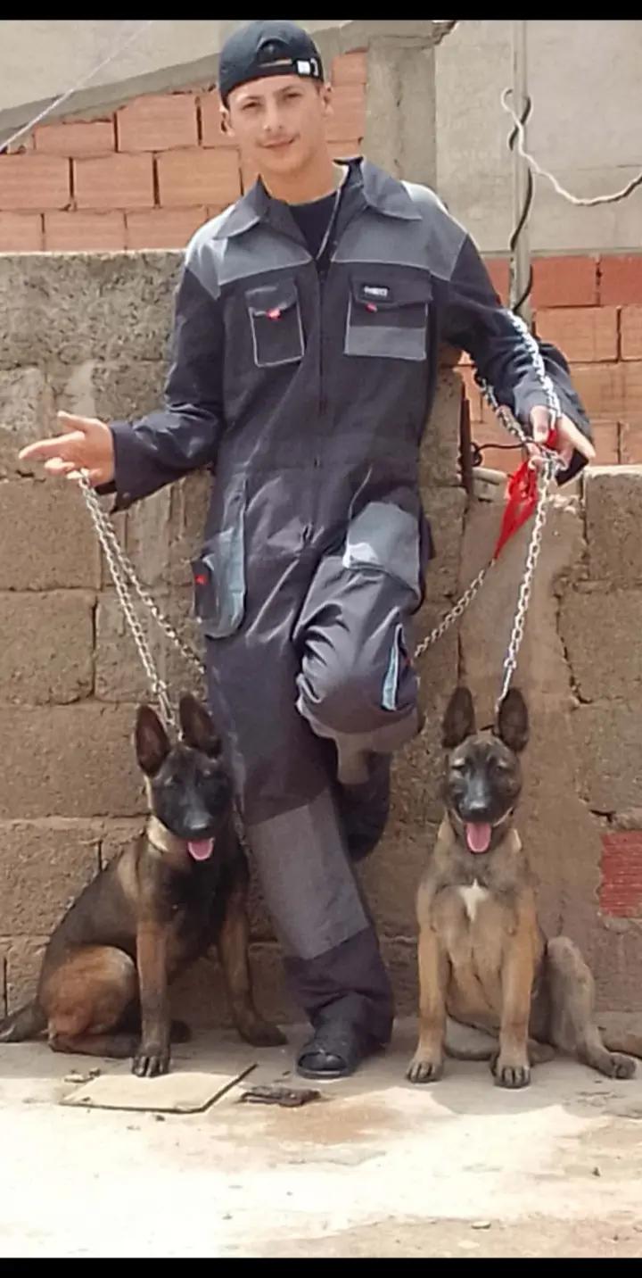 @🔱 𝓐𝓷𝓮𝓼 𝓬𝓱𝓲𝓽𝓪𝓷𝓪💰🐺