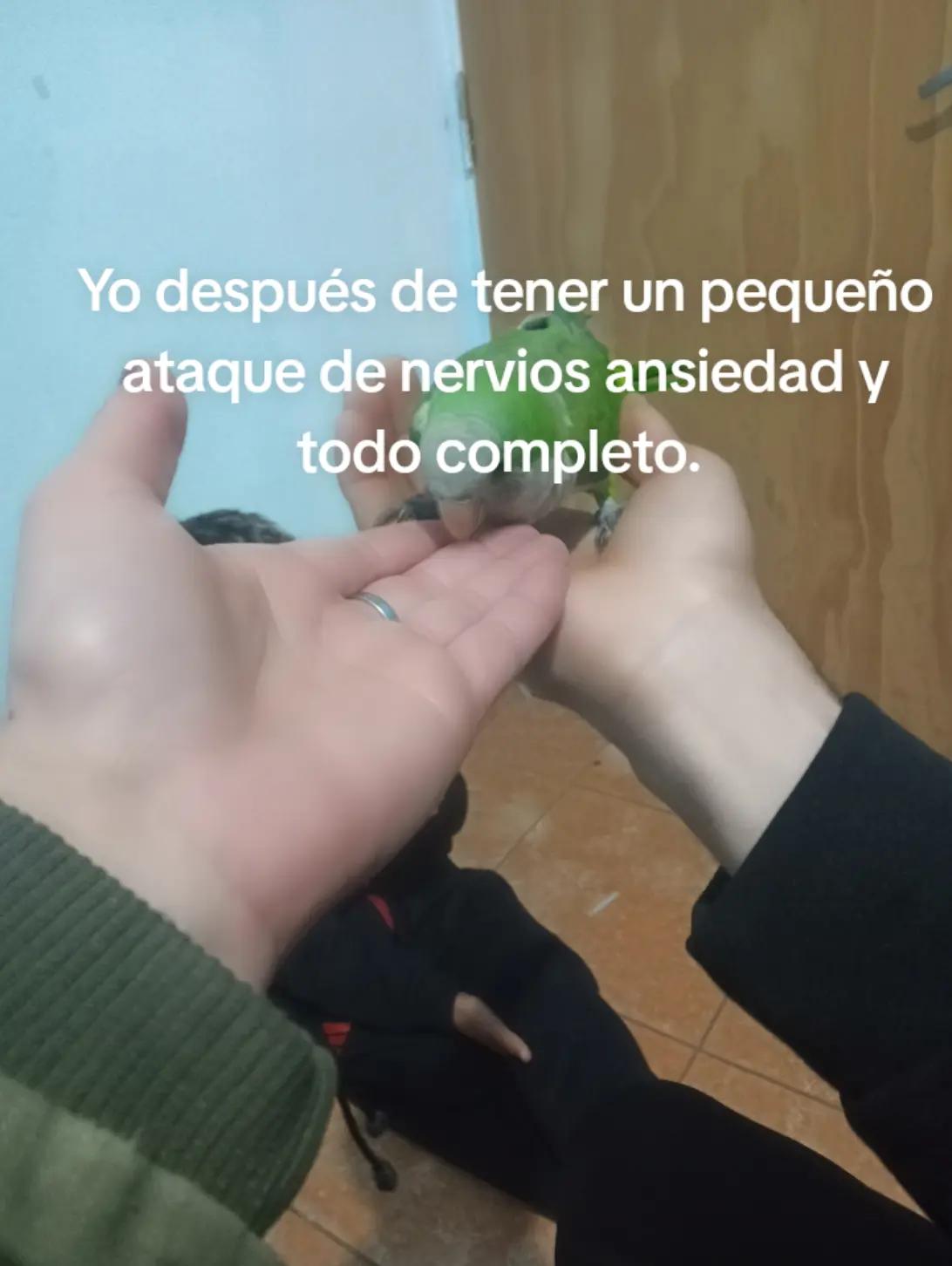 @Elii Raichevich