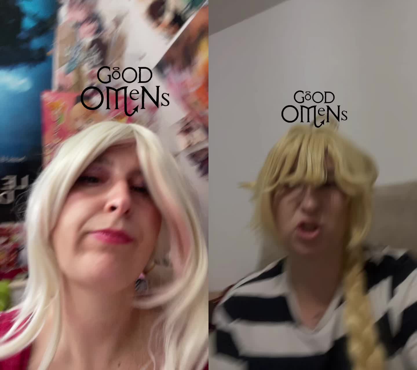 @🐱