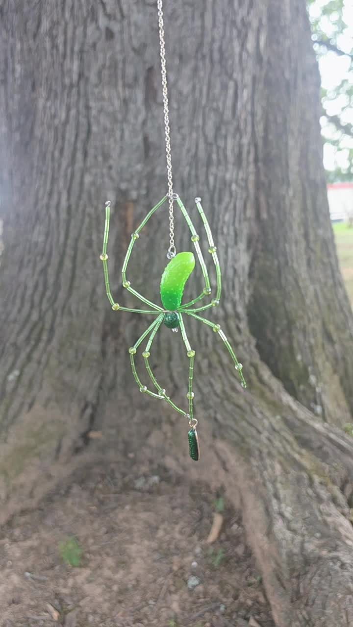 @The Spider Web