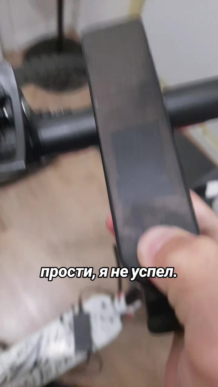 @RADEX | ЛИС #GOST