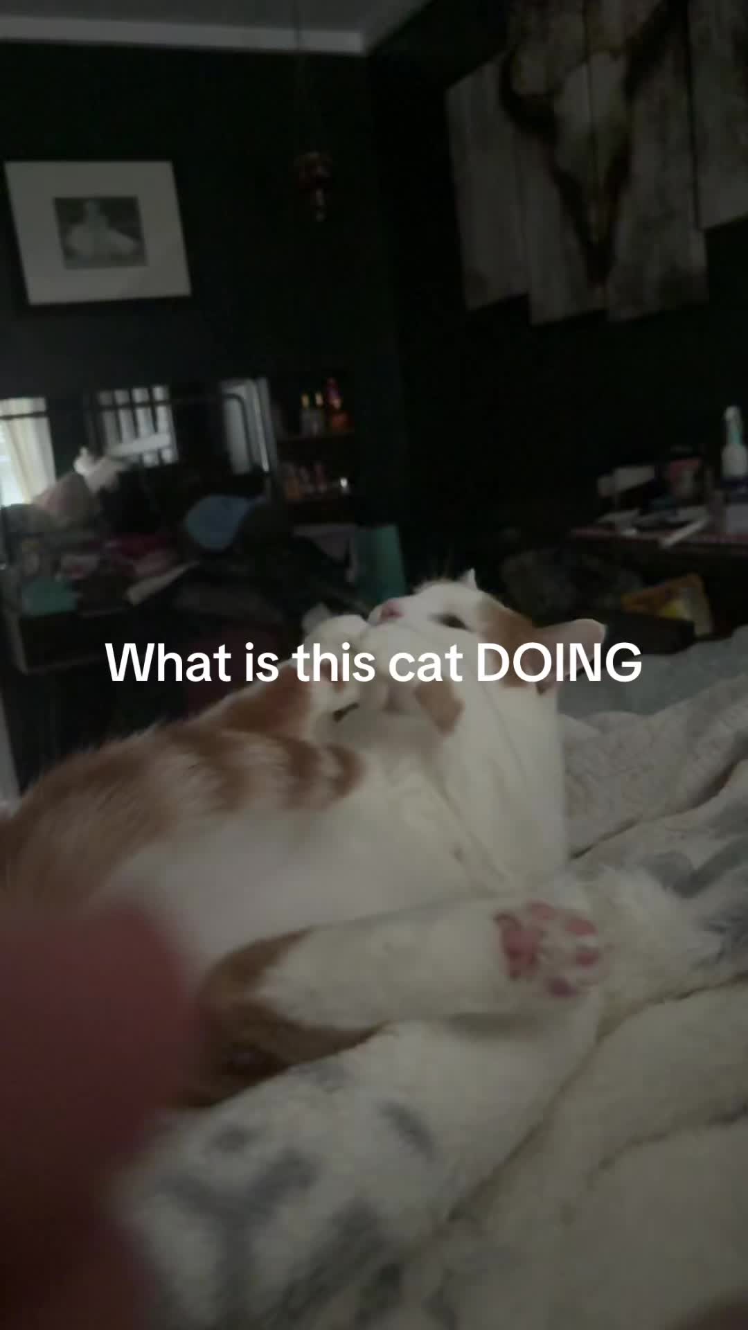@Aj