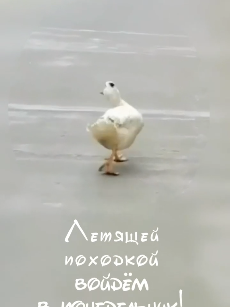 @Татьяна