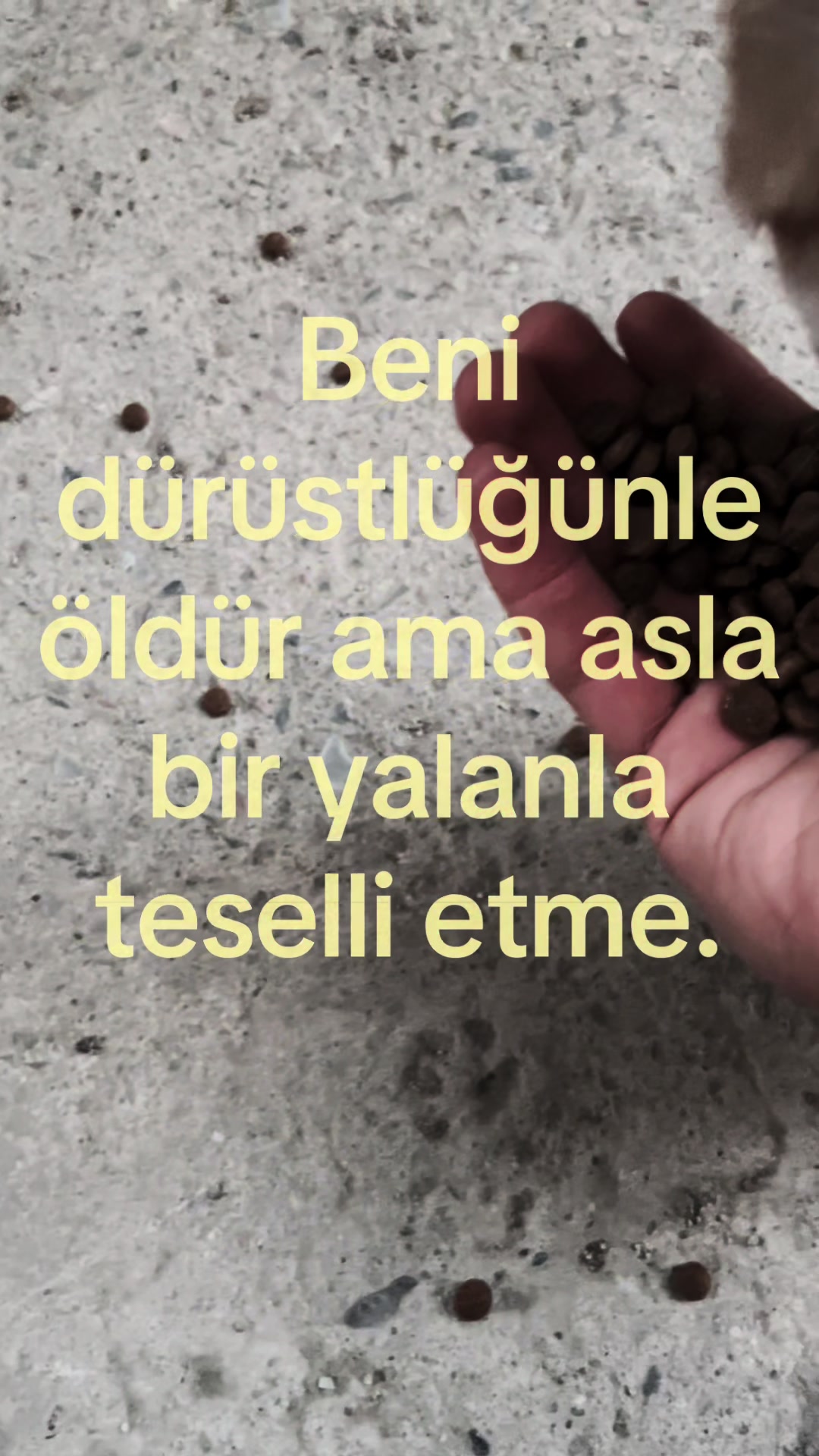 @￴￴