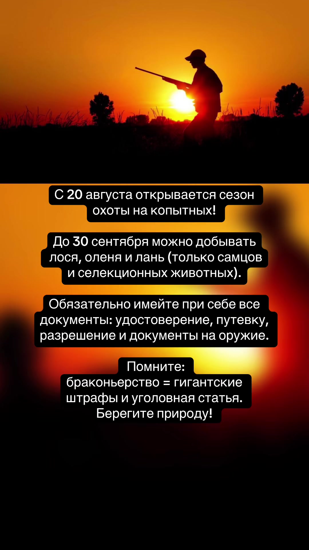 @Старые Дороги