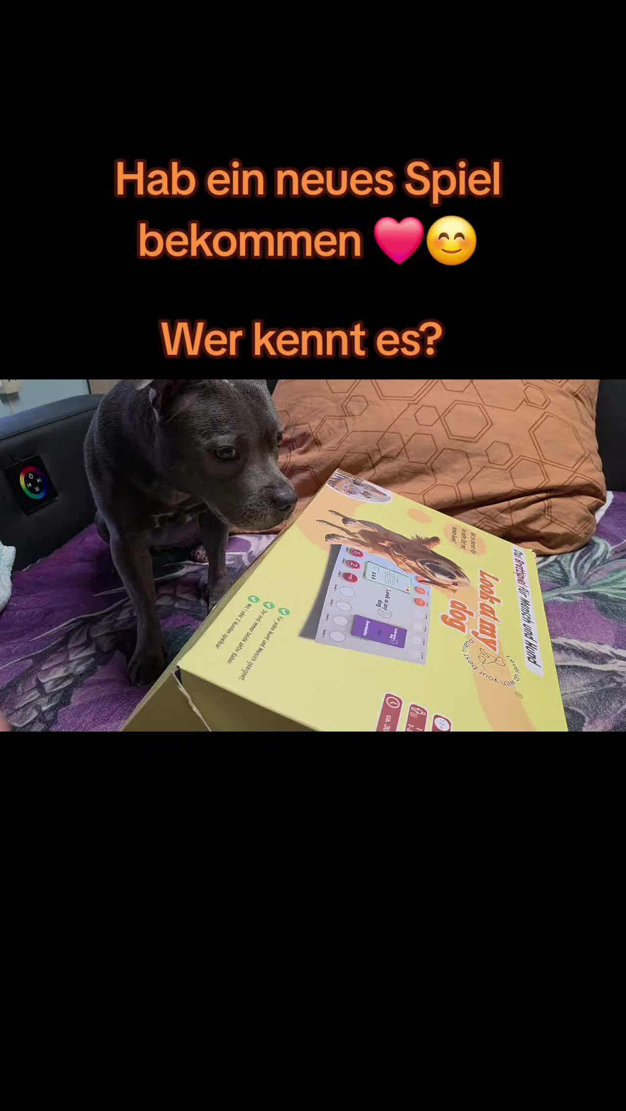 @Zara Alukanija Kiyomi 🐕🐾