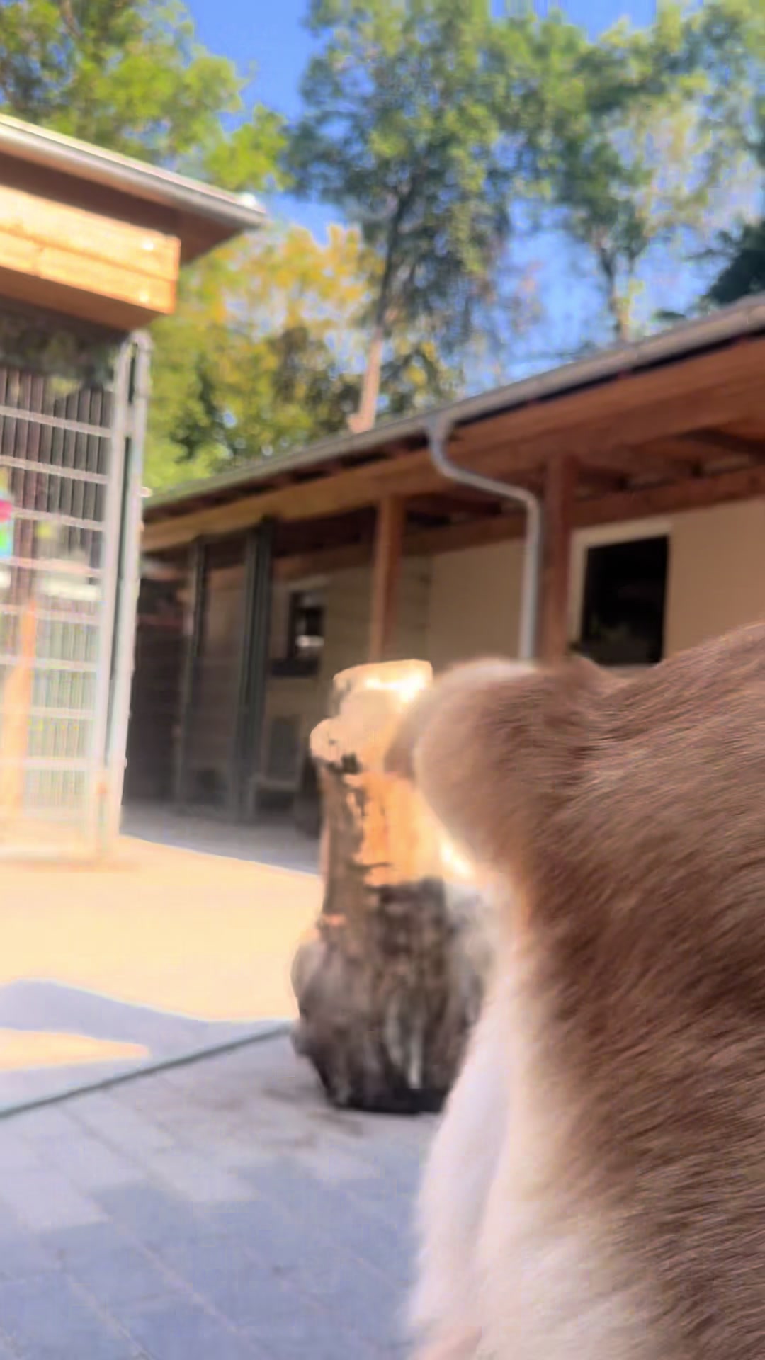 @Hunde- und Katzenpension