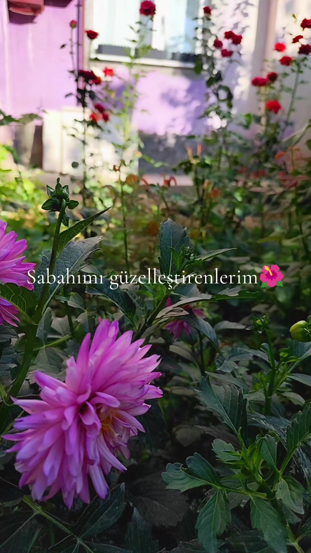 @Zehra zehra