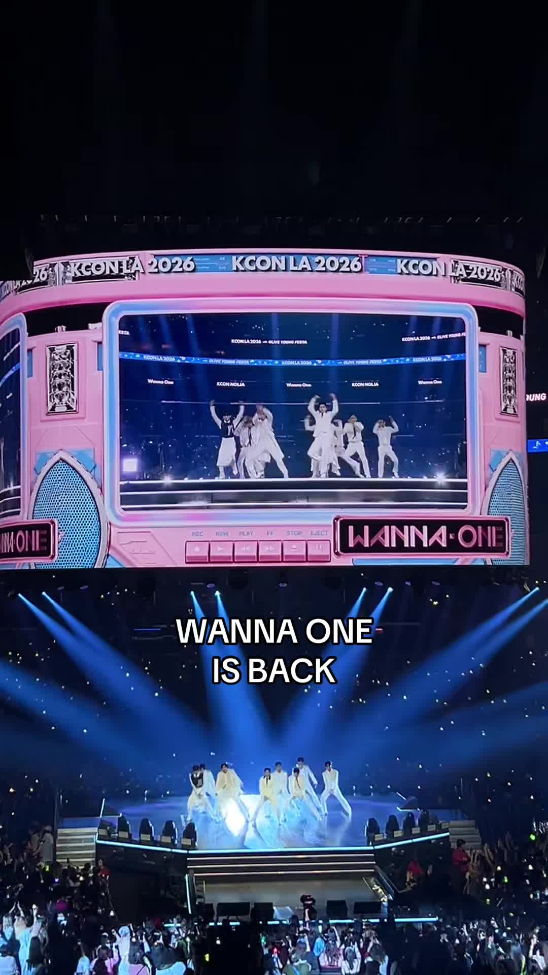 @kc ૮ &ndash; ﻌ&ndash;ა