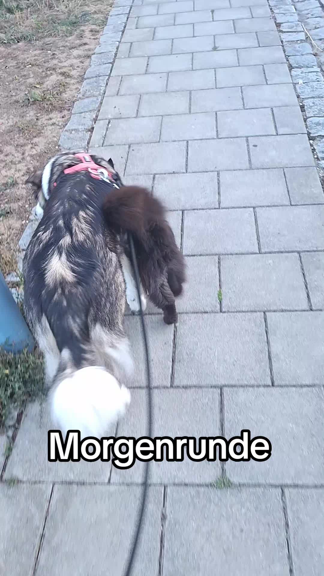 @Uppsalla