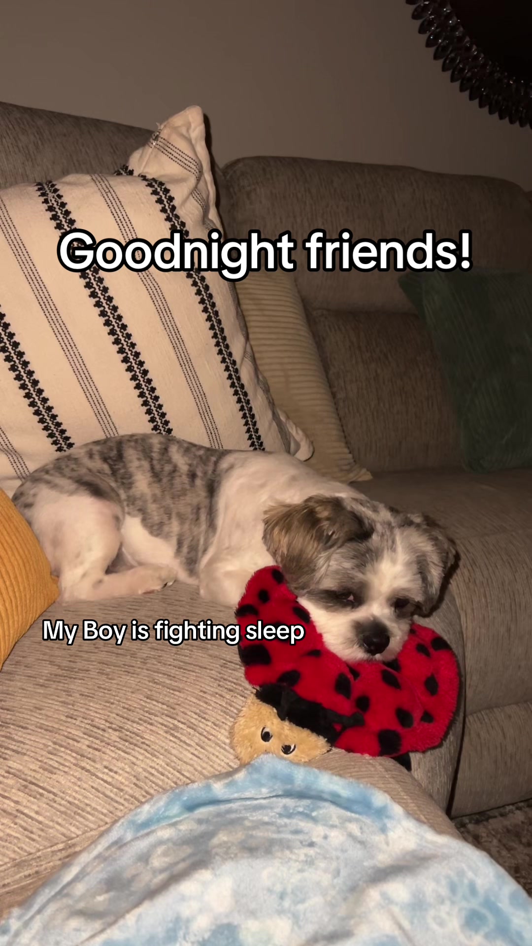 @bonnie_is_here