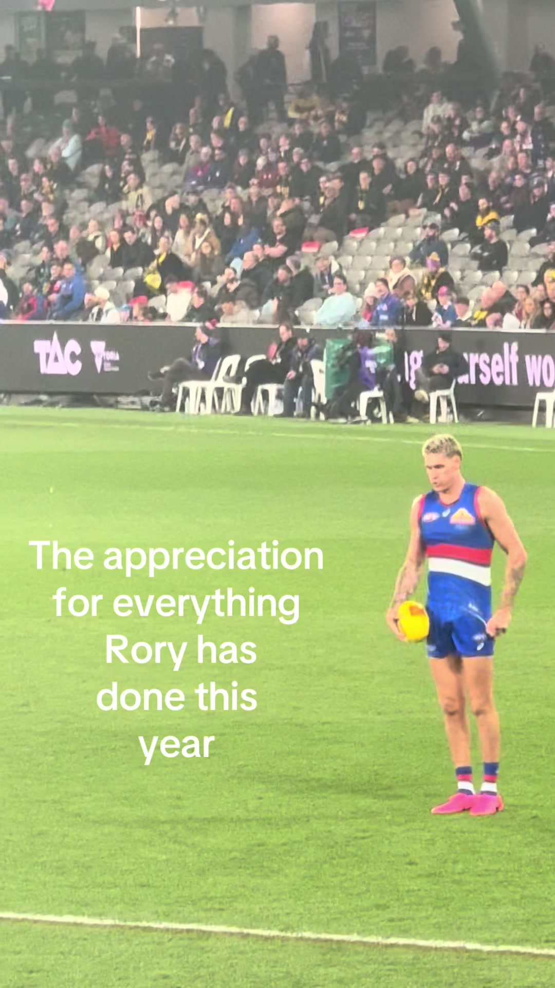 @RoryLobbFanpage🦞
