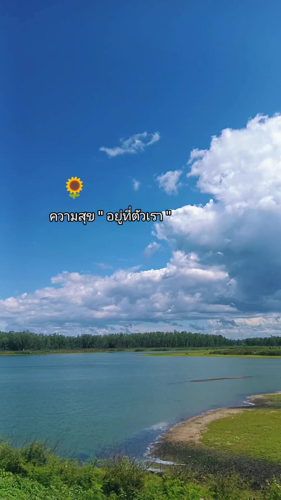 @Rabbit..ที่แปลว่ากระต่าย🐰❤️🐰
