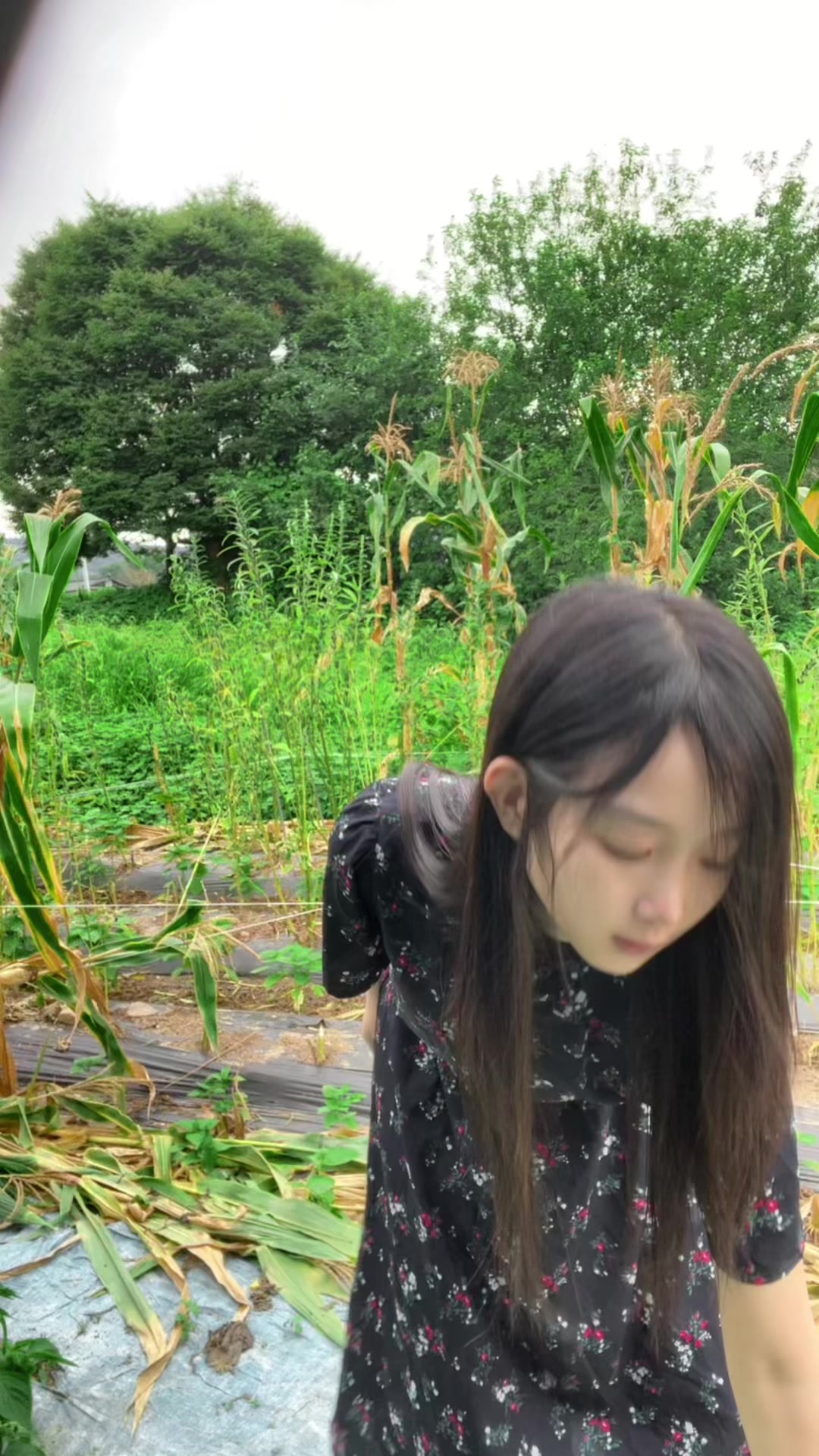 @한미린