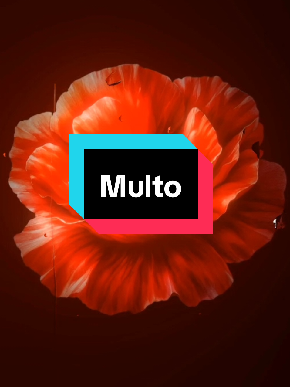 @𝗘𝗶𝘇𝗲𝗻𝗹𝘆𝗿𝗶𝗰𝘀