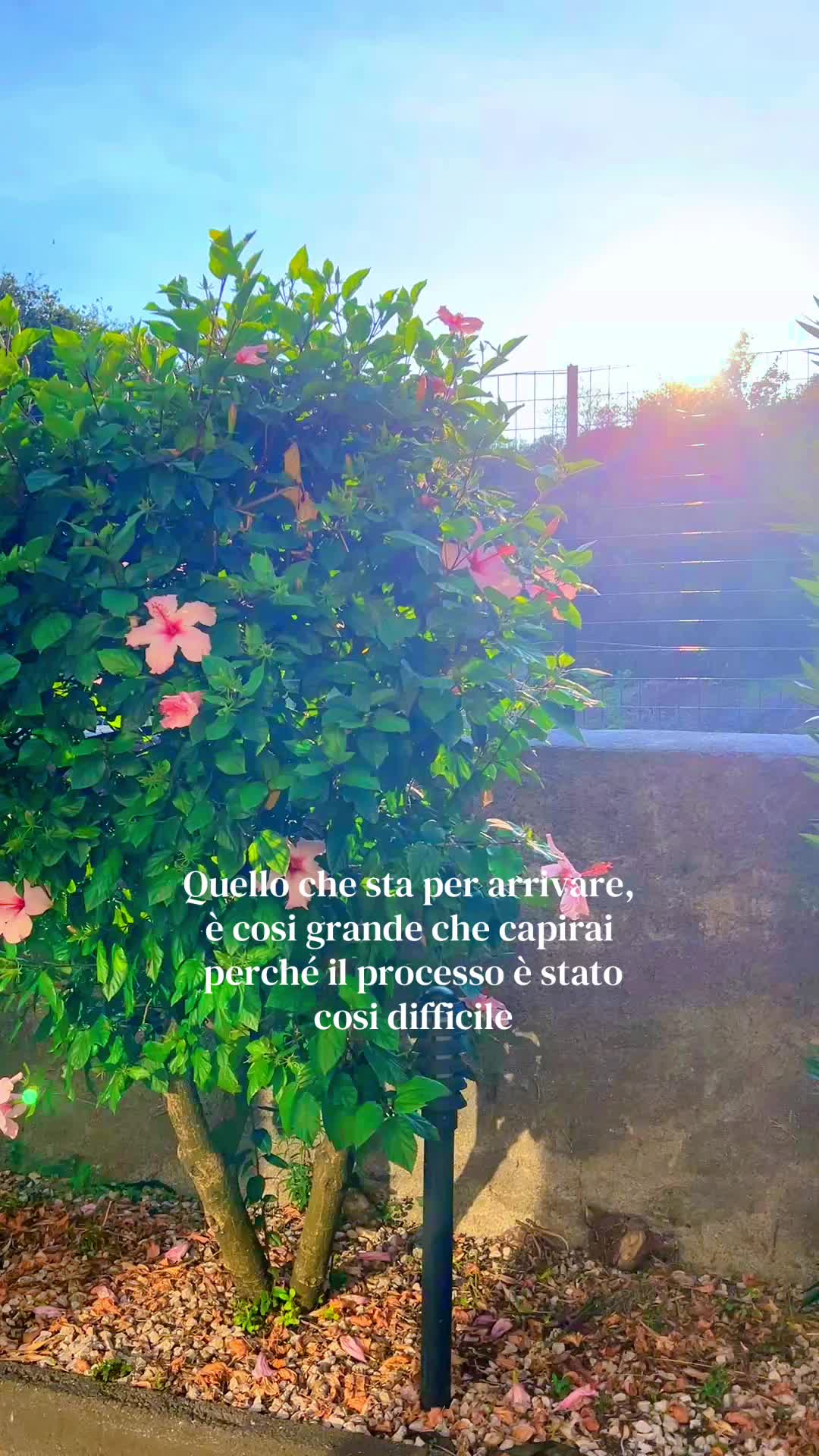 @𝑺𝒆𝒓𝒆𝒏𝒂 𝑷𝒐𝒓𝒕𝒐🍒✨