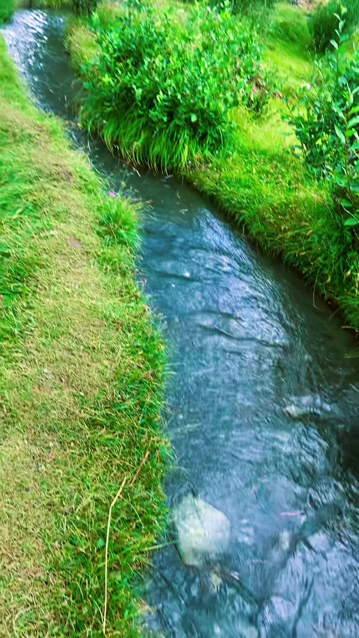 @𝒉𝒂𝒏𝒊𝒚𝒂.......