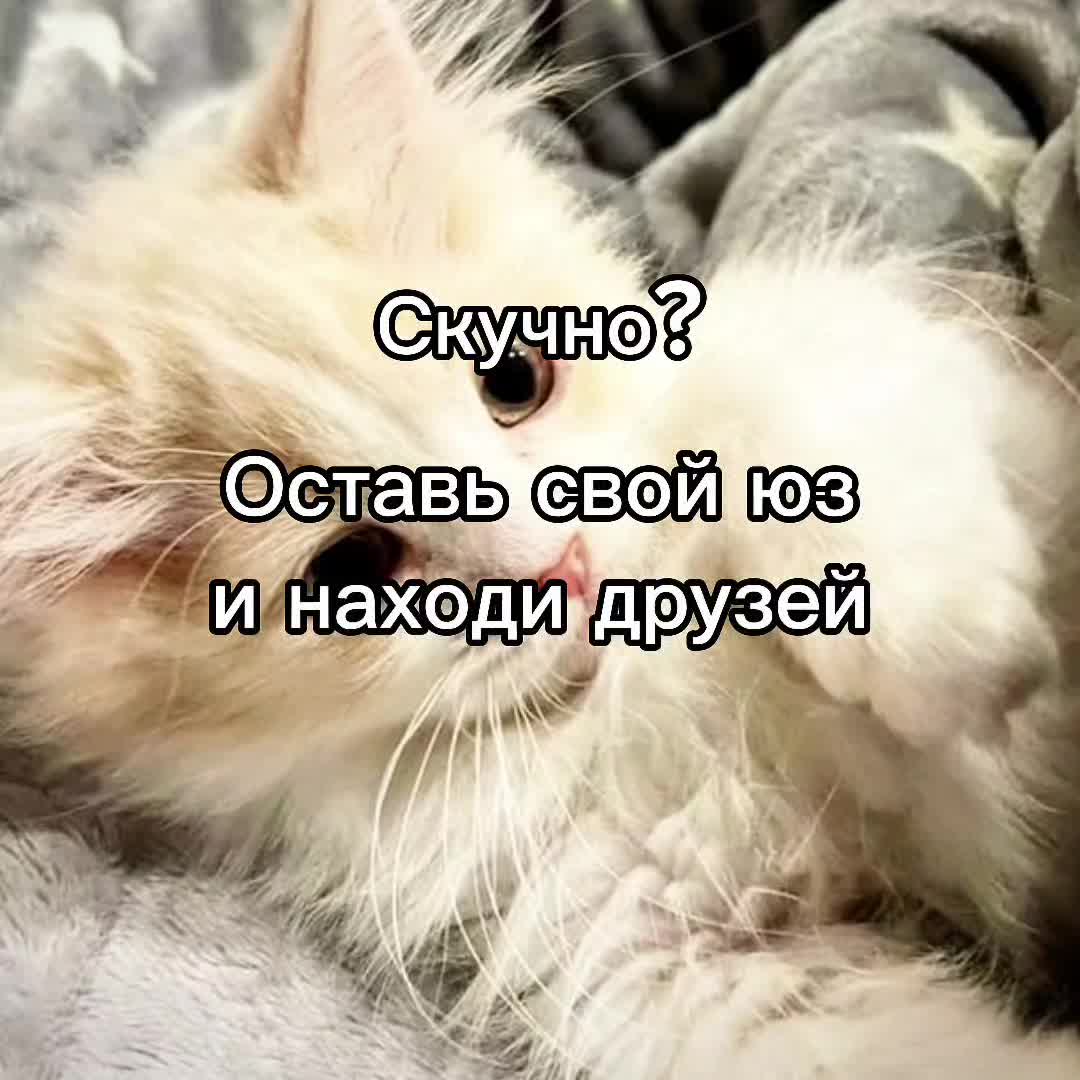 @mivrac