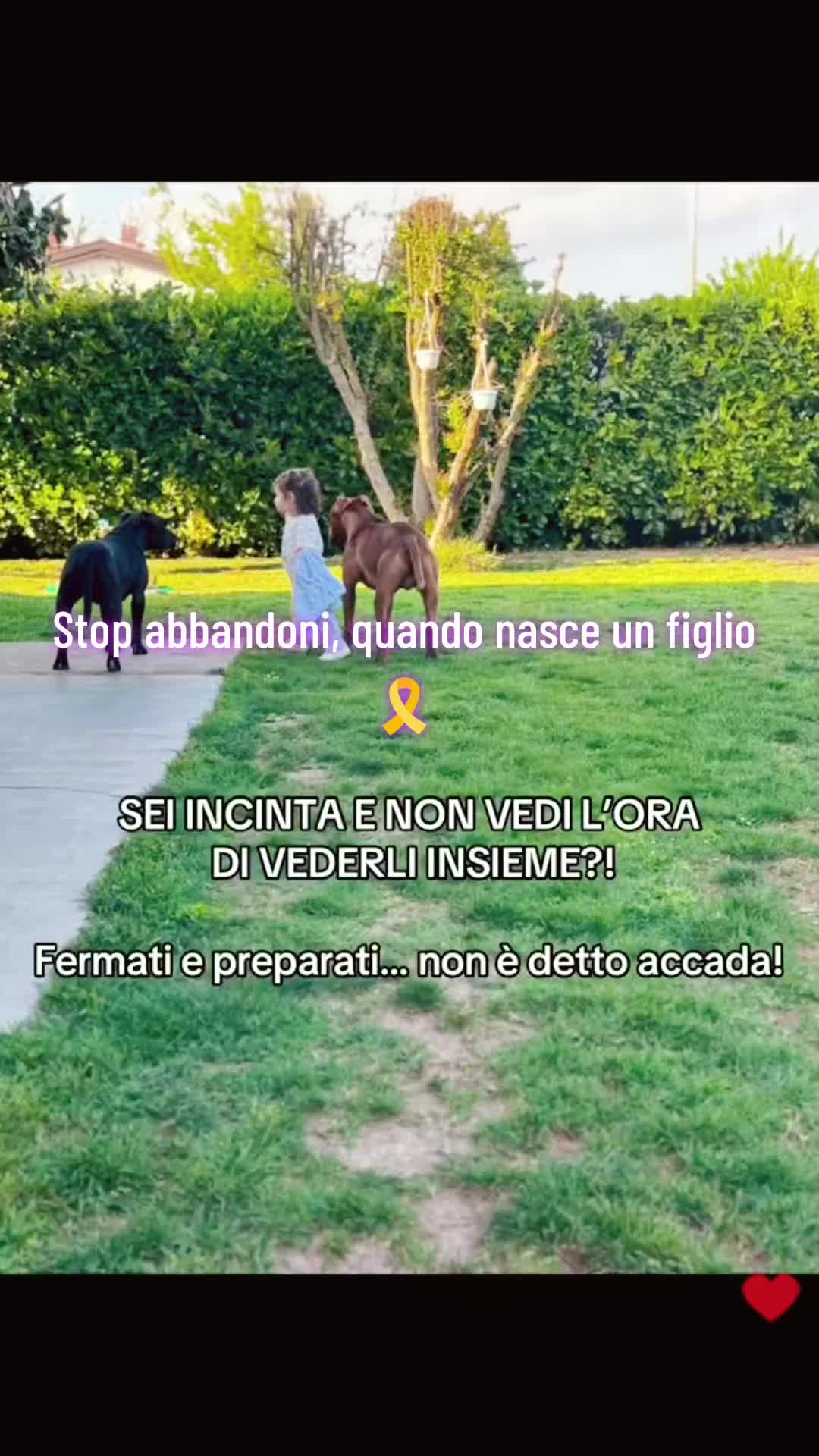 @VENNE DAL FREDDO 🥶