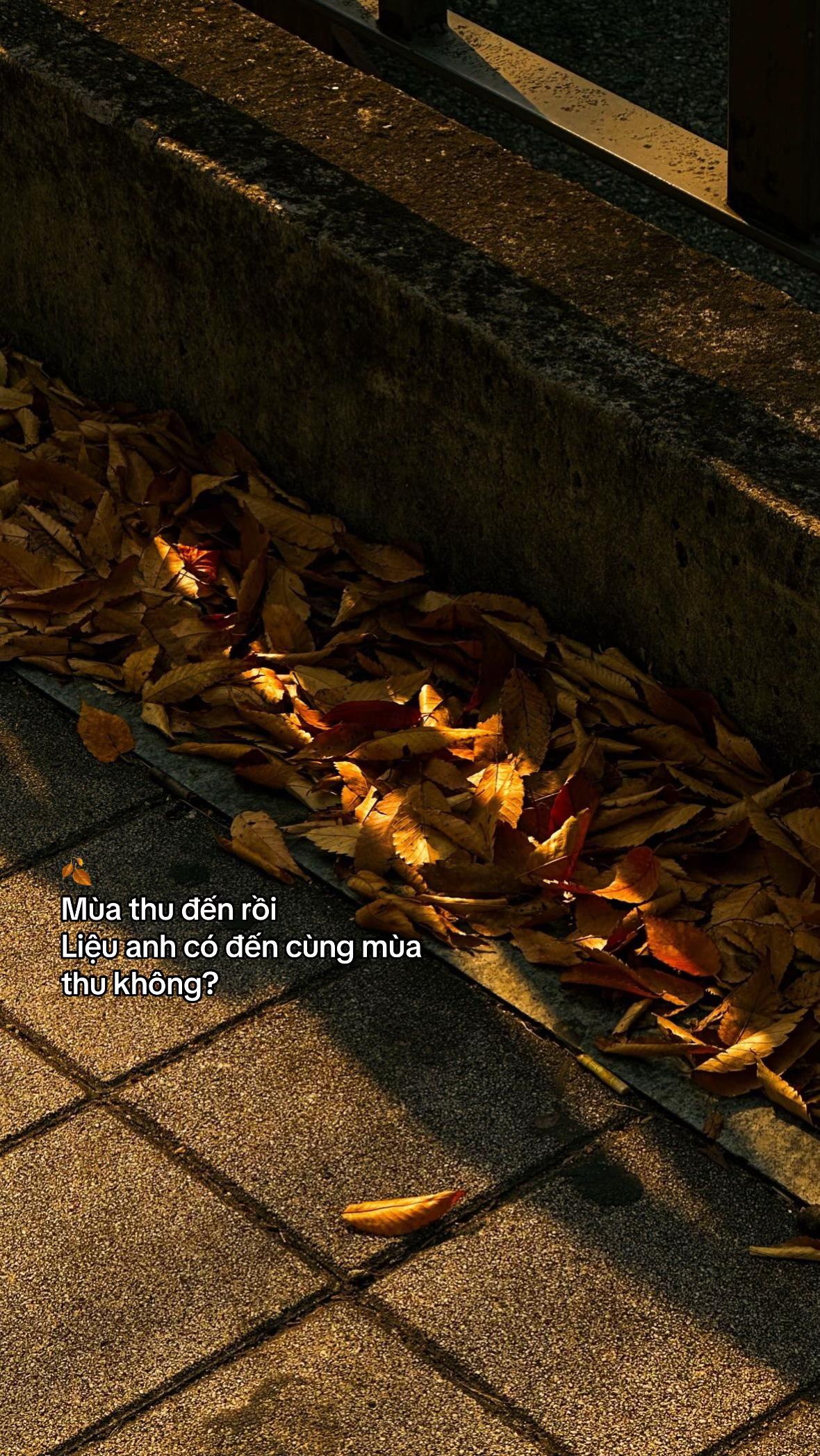 @Em g&aacute;i nh&agrave; b&ecirc;n