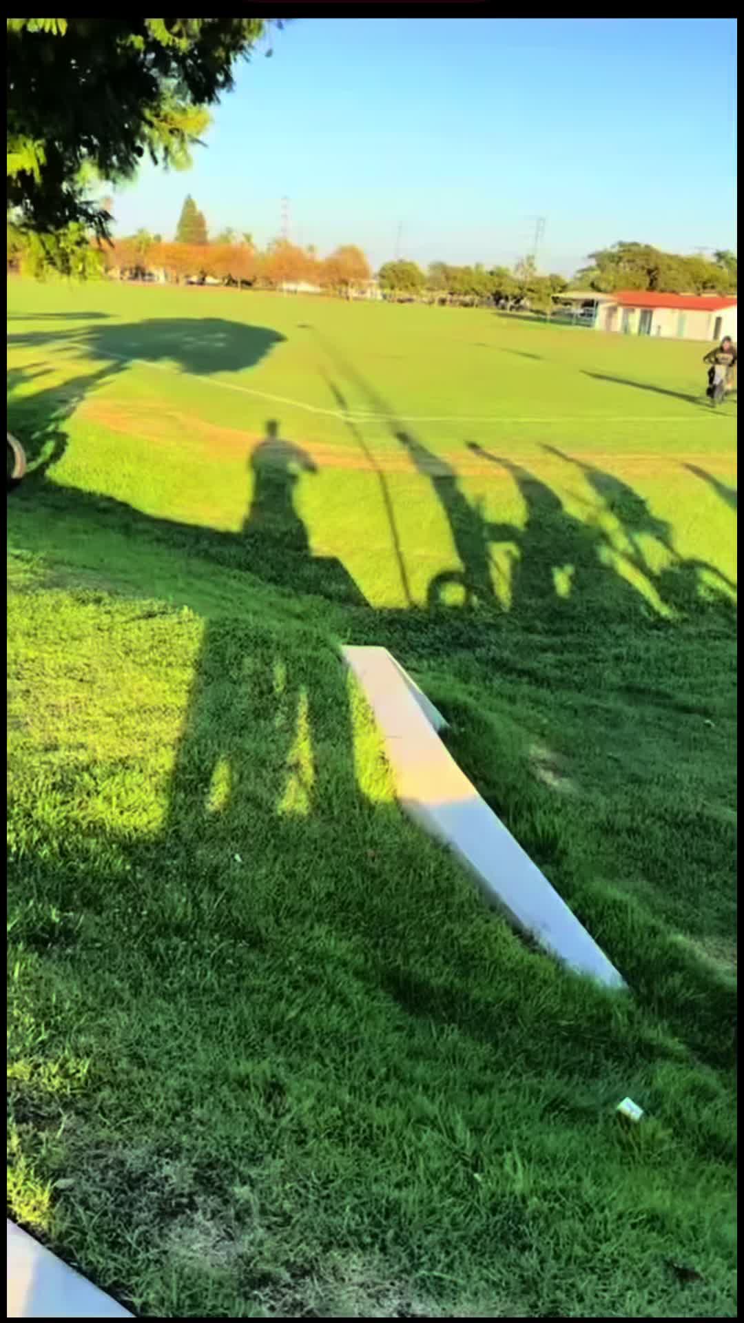 @🌴V_𝓐𝓵𝓽𝓲𝓼🌴