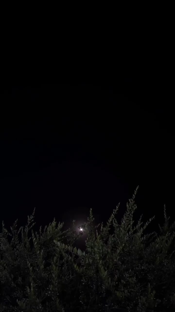 @𝓨𝓸𝓾𝓼𝓲𝓯  ོ ⠀
