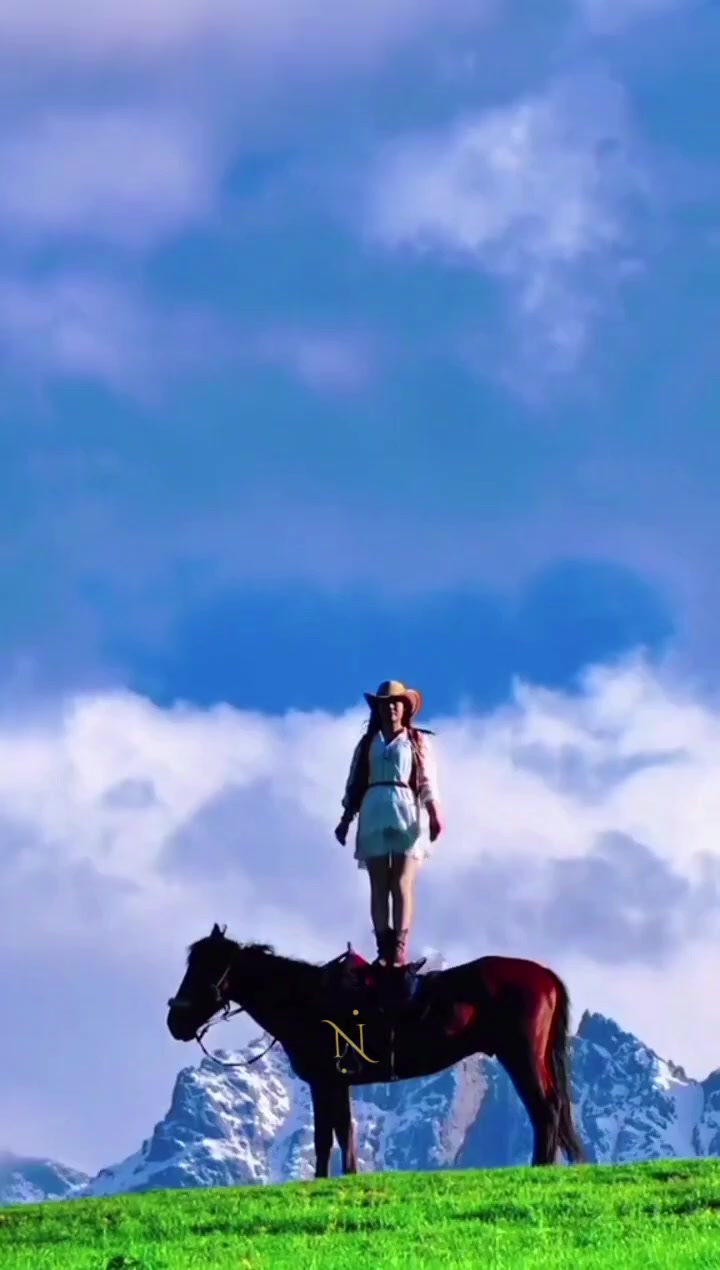 @✨️Nil...023🐎