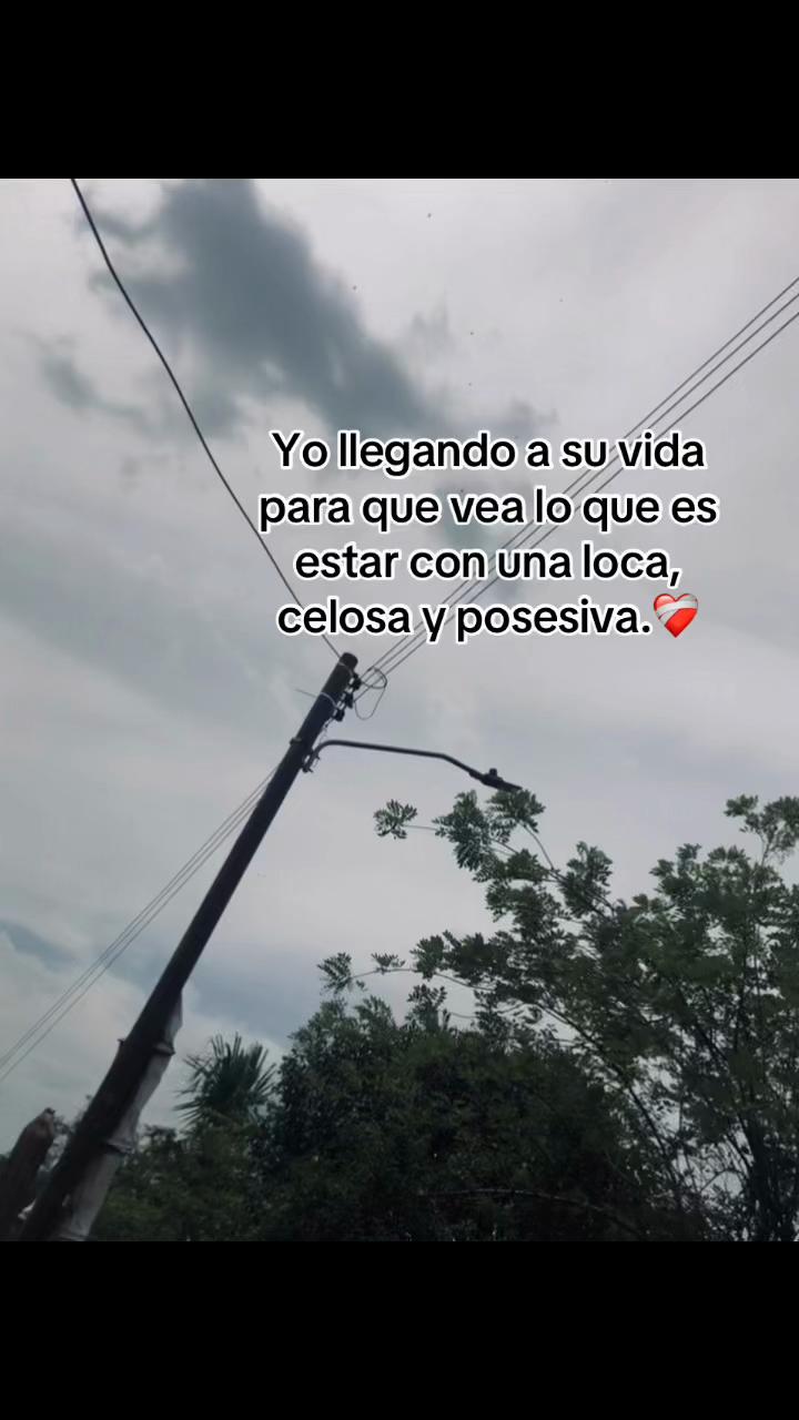 @ᥫ᭡.
