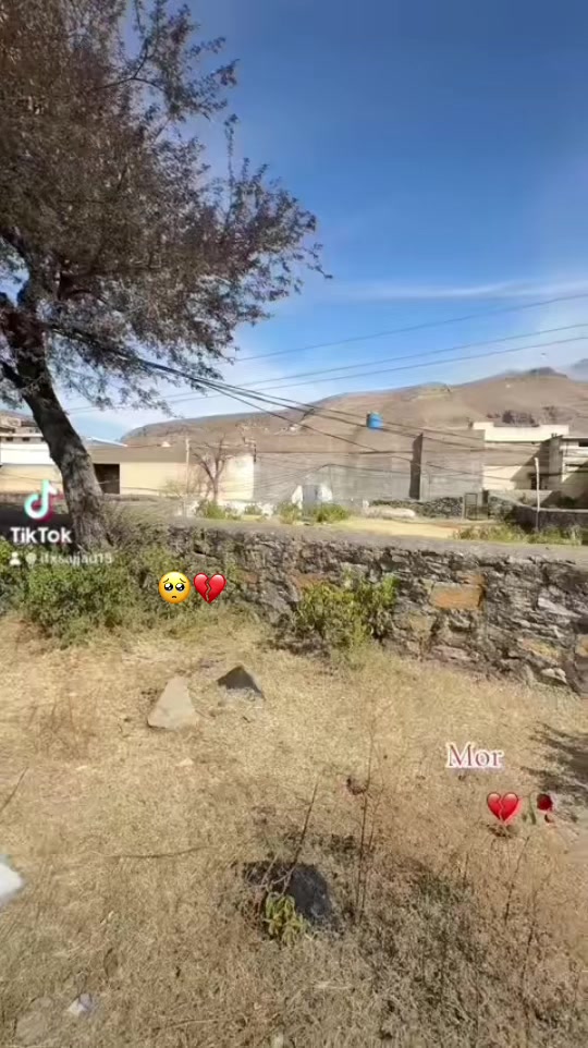@rnsajjad