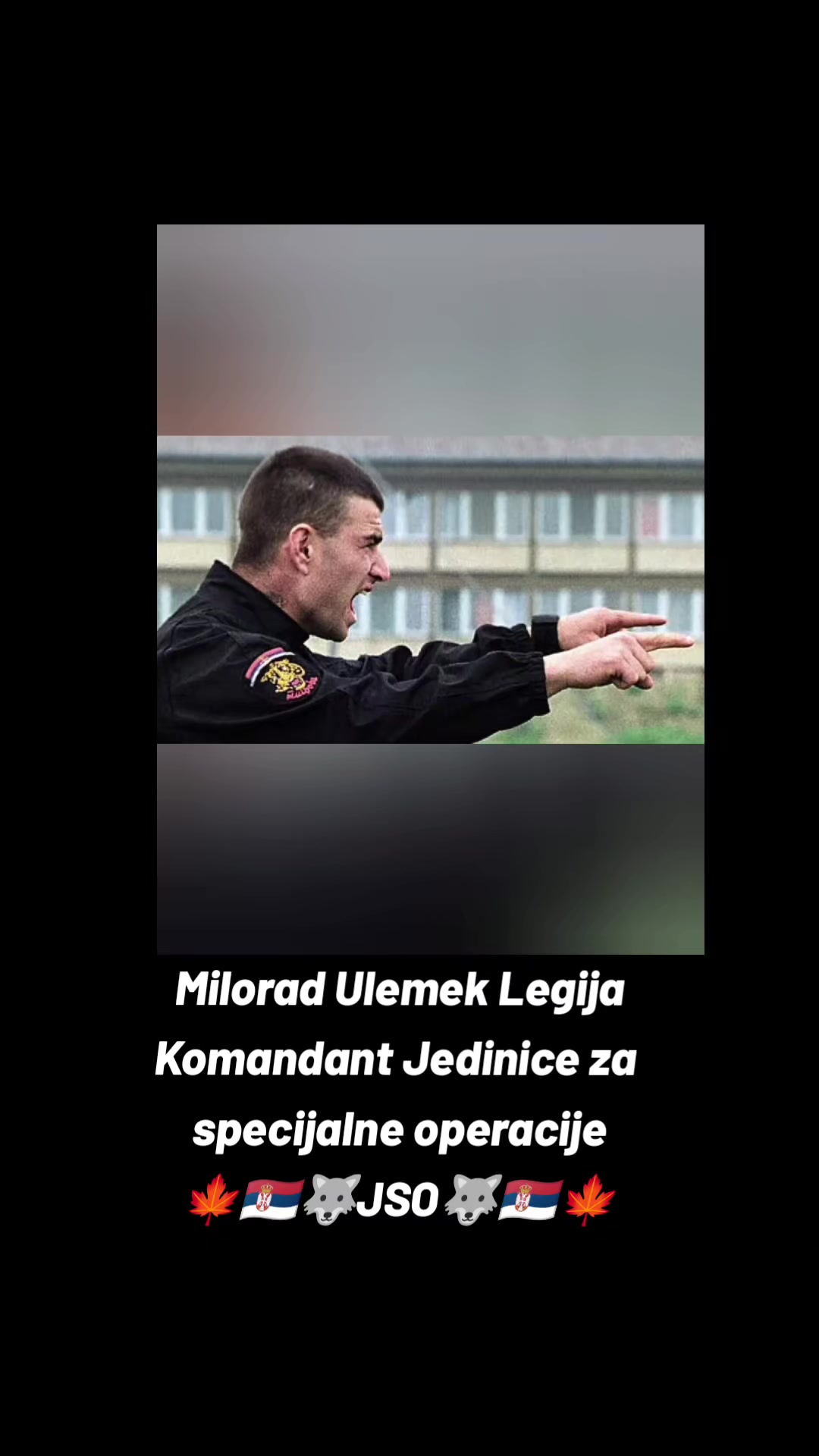 @vidar_rs