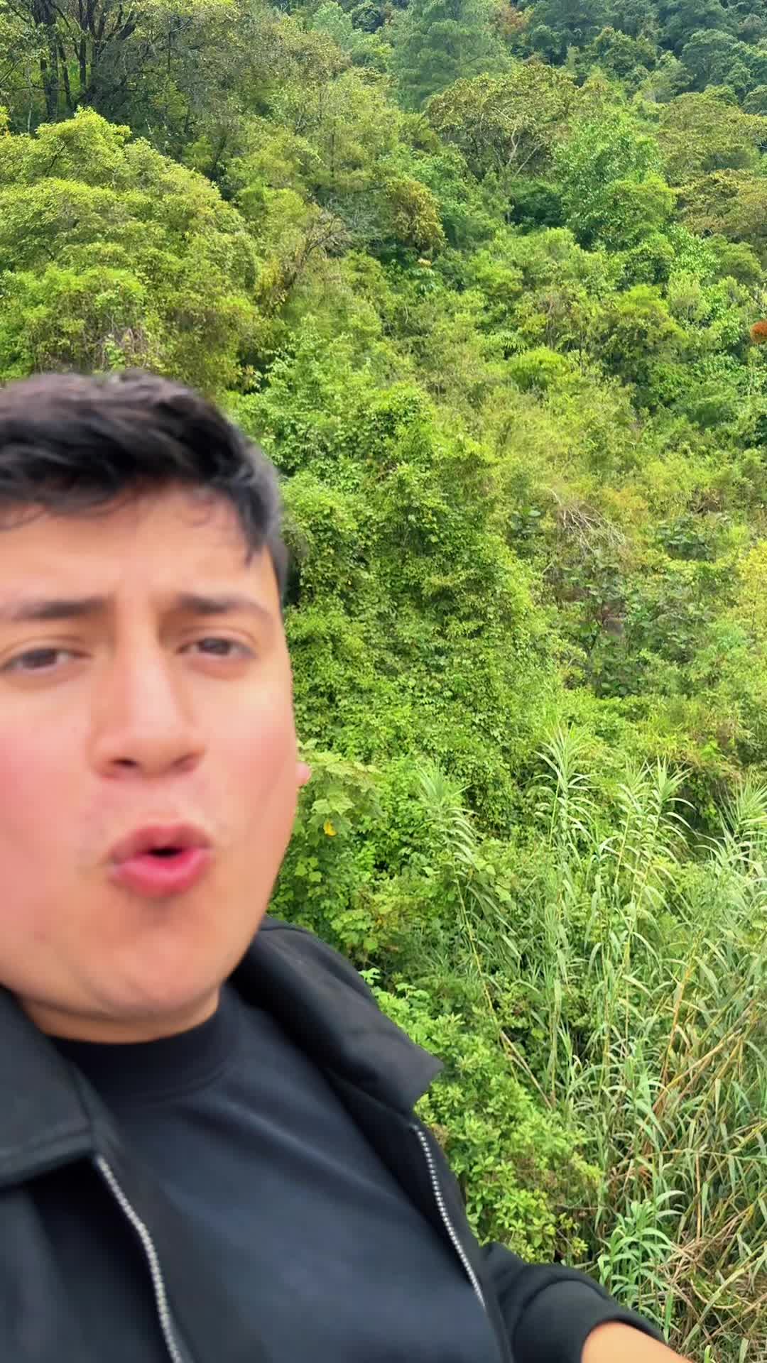 @de todo gt oficial