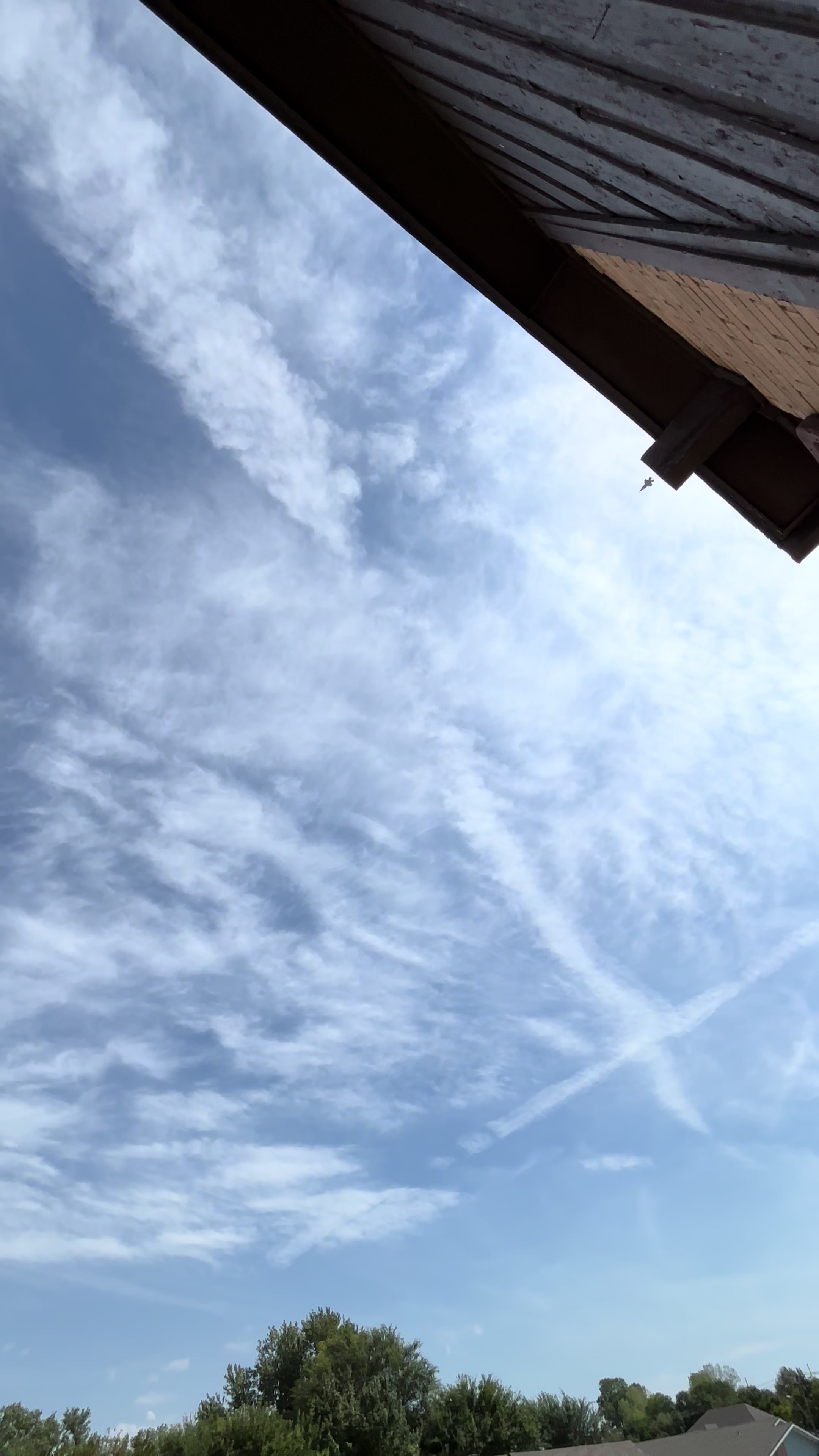 @🇩🇴🇵🇷Trigga Angel🇩🇴🇵🇷
