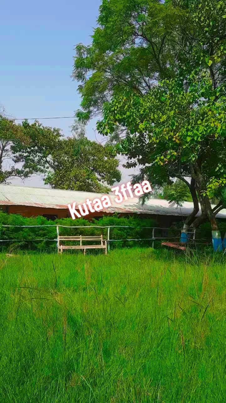 @Kachisaadisu444