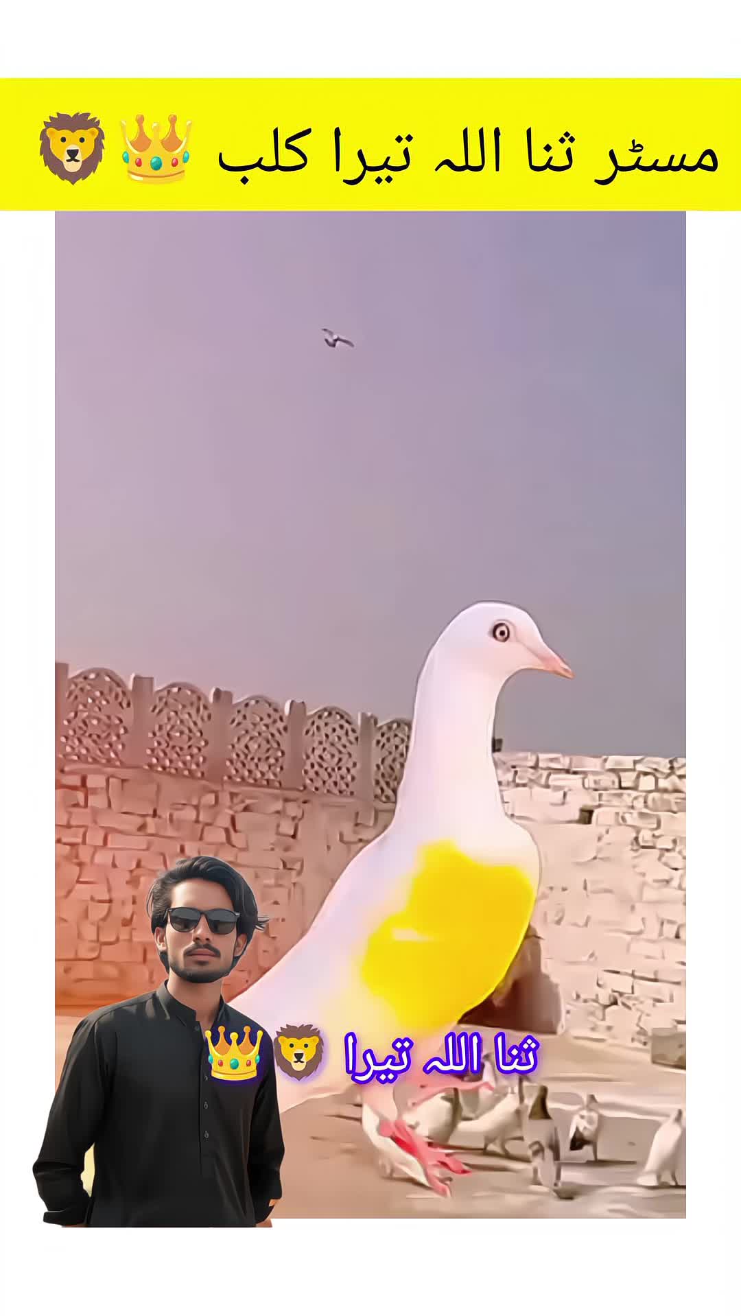 @ᴹʀ Ｓꪋⁿꪋ𝐮ไไꪋ𝚑
