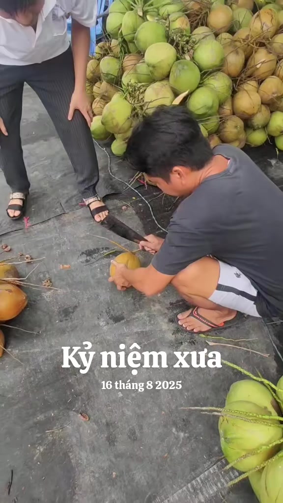 @Nhà Xe Tấn Tài An Giang