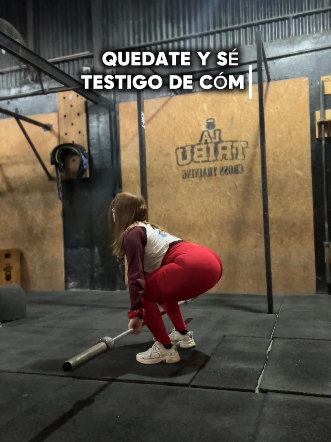 @aleee.alex.ale