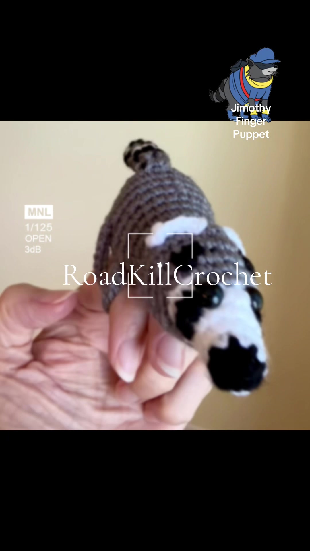 @Road Kill Crochet