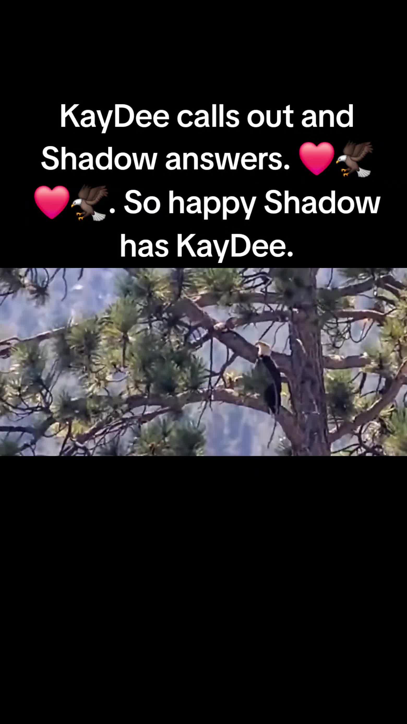 @Bri._.All