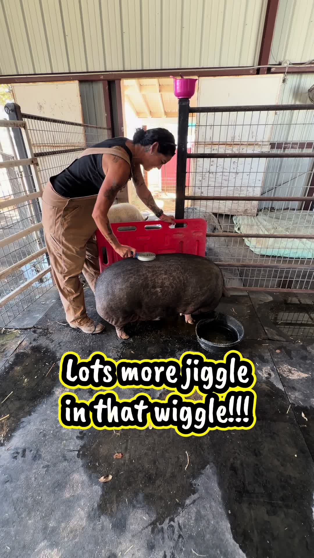 @Pig Luv Co