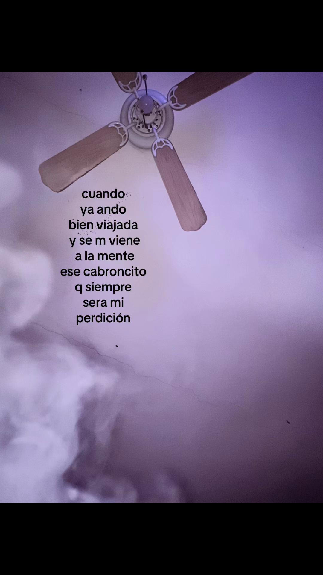 @Palomino🦦