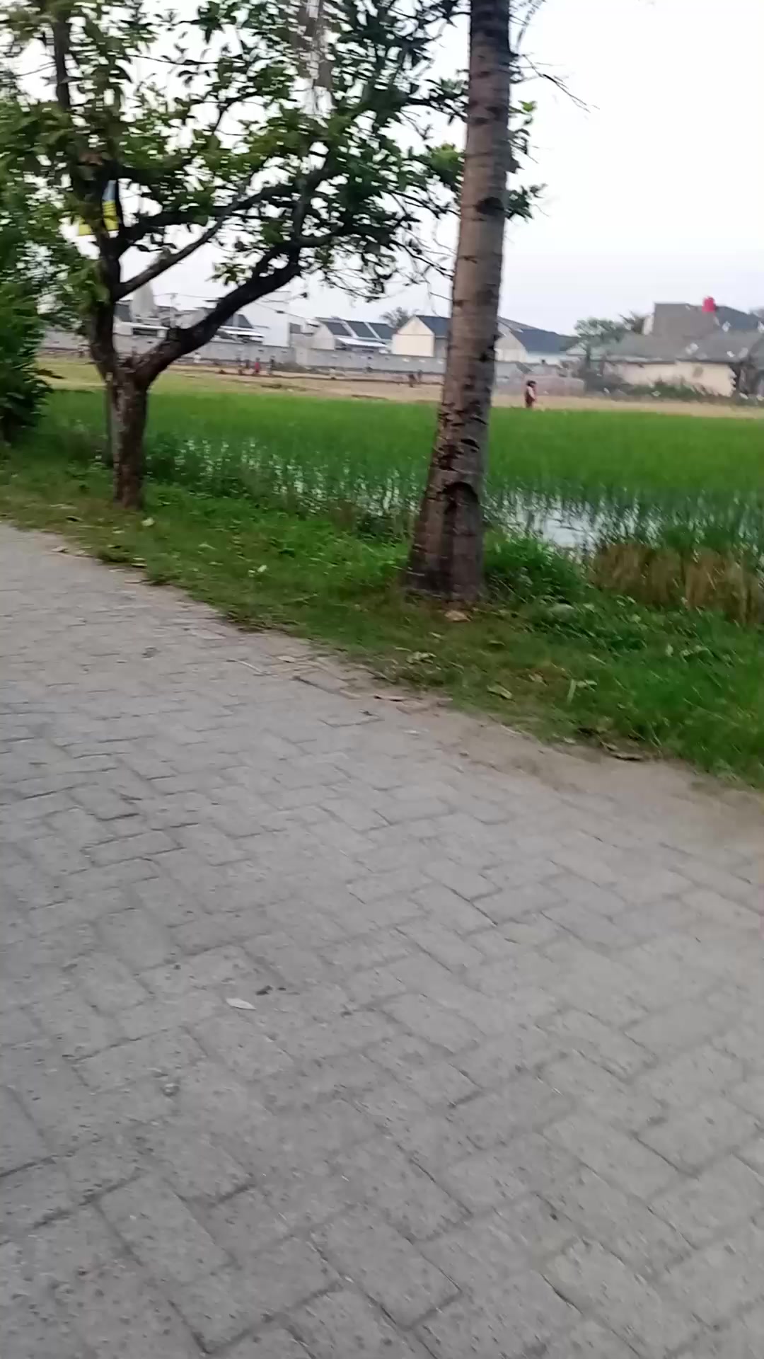@fitrinuraini575