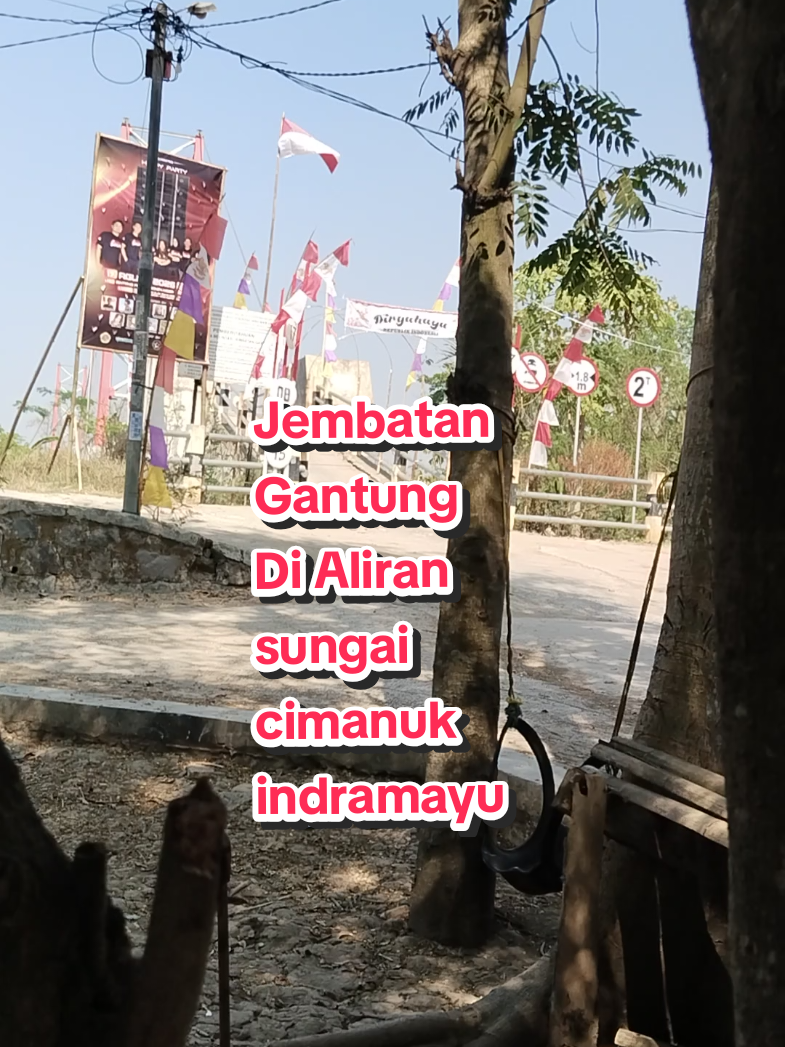 @WONK CEDAL R