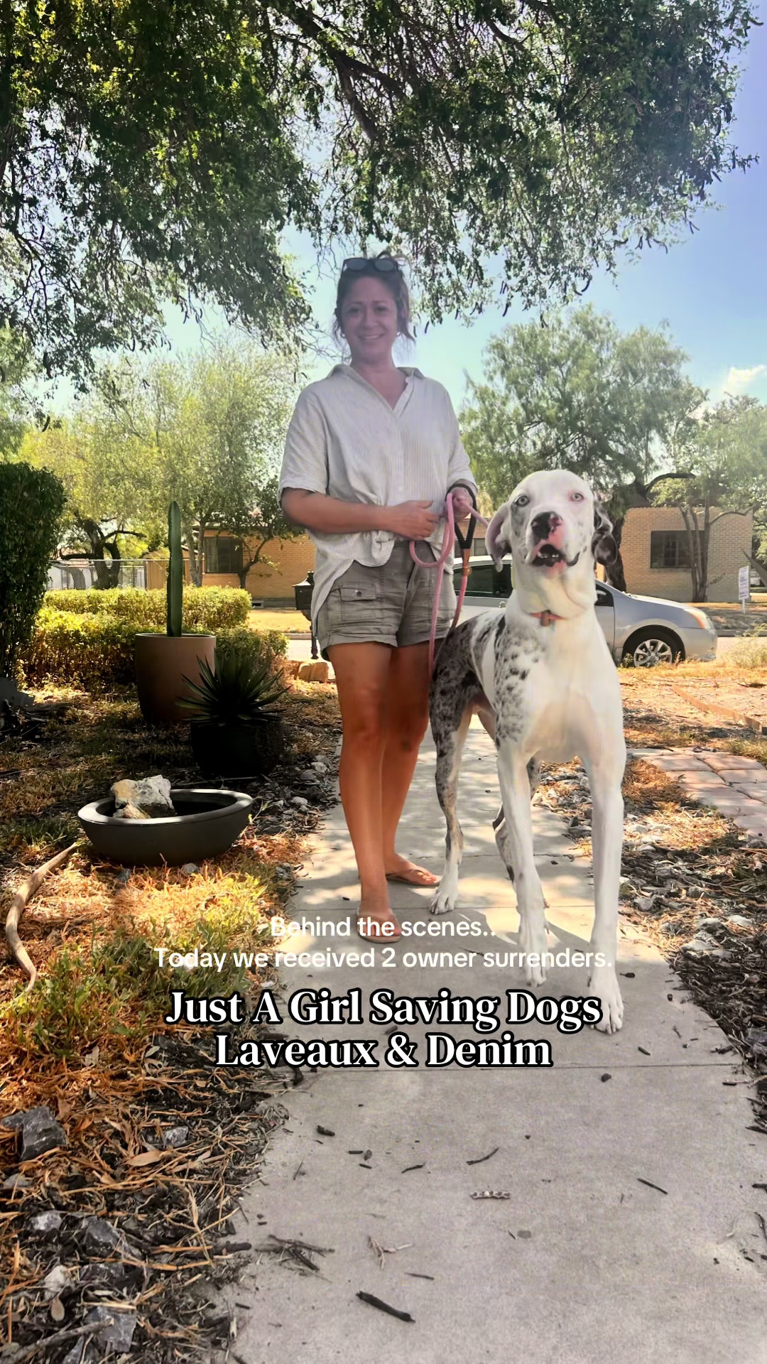 @Just A Girl Saving Dogs